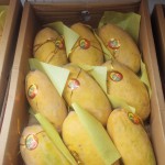 Mango box - (4.0-4.25)kg